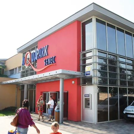 Galeria Stastie